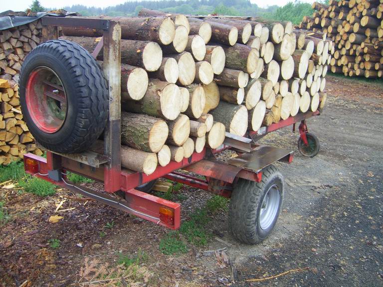 Resize of SV100983.JPG