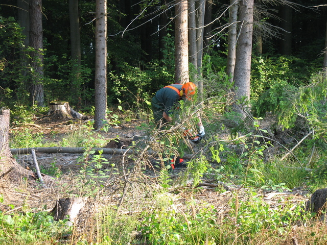 img1991hr6.jpg