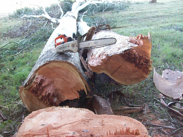 100_0965 (759x569).jpg