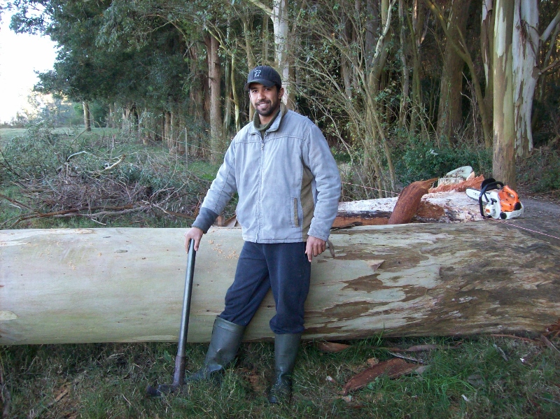 100_0966 (800x599).jpg