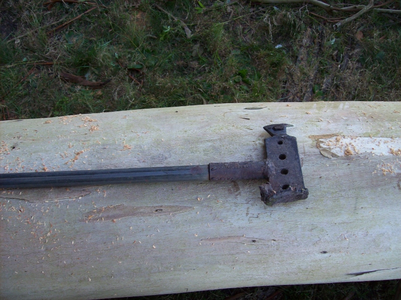 100_0967 (800x599).jpg