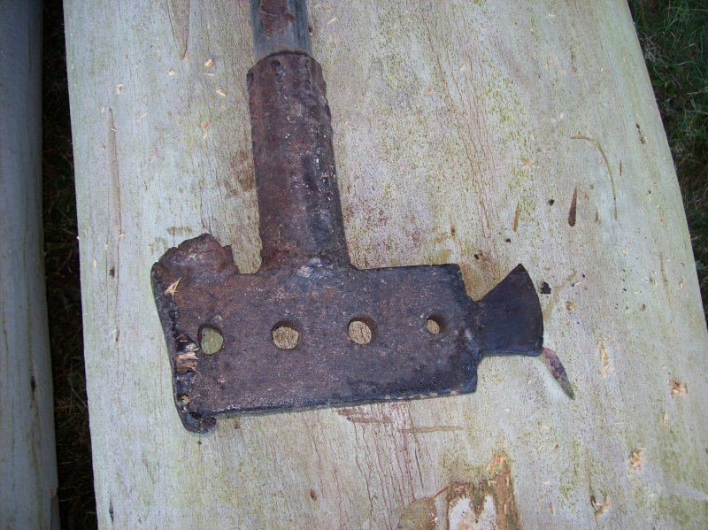 100_0968 (800x599).jpg