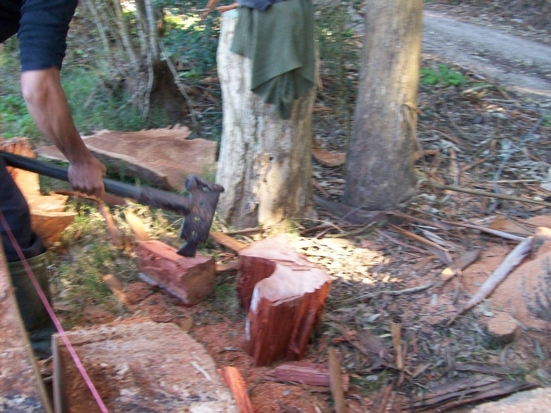 100_0975 (800x599).jpg