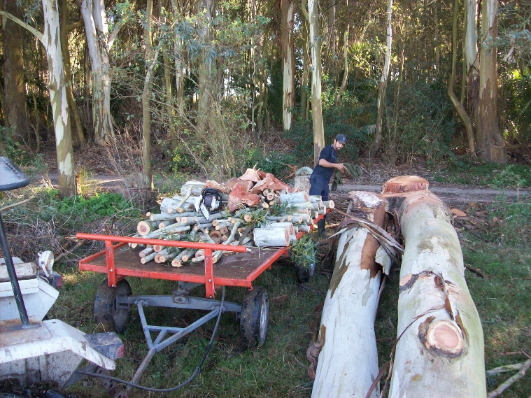 100_0978 (759x569).jpg