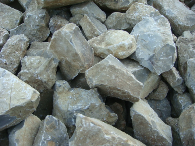 Detail Fränkischer Muschelkalkstein.JPG