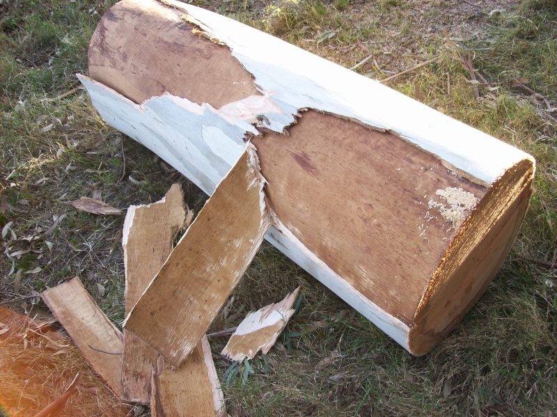 100_0982 (800x599).jpg