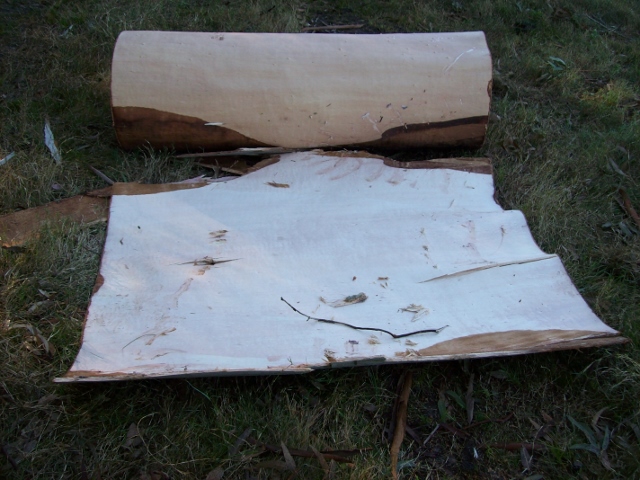 100_0990 (640x480).jpg