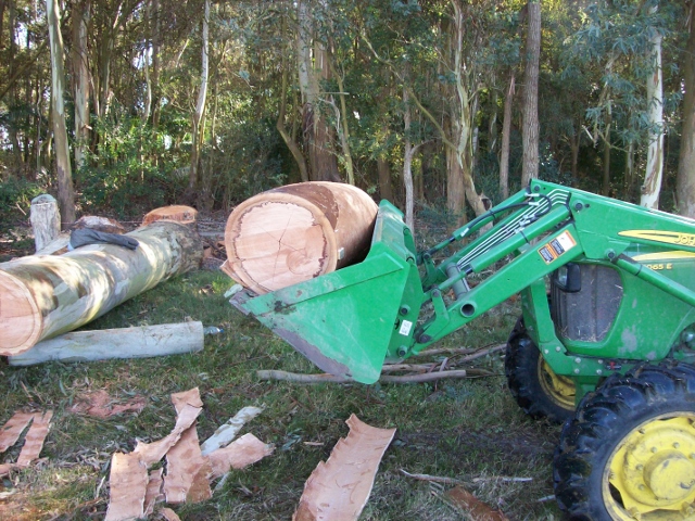 100_0993 (640x480).jpg