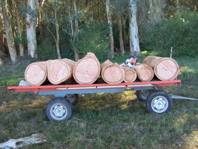 100_0994 (640x480).jpg