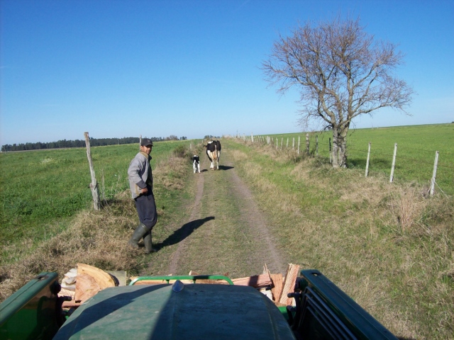 100_0995 (640x480).jpg