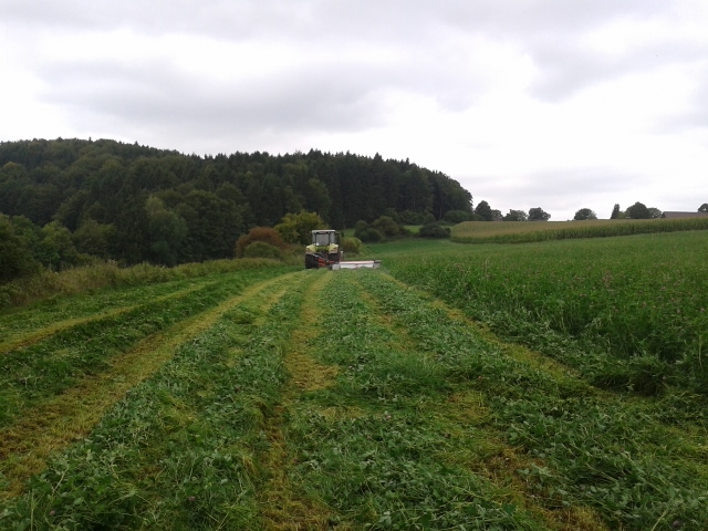 2014-09-03 13.33.20 (640x480).jpg