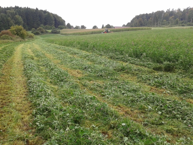 2014-09-03 13.37.07 (640x480).jpg