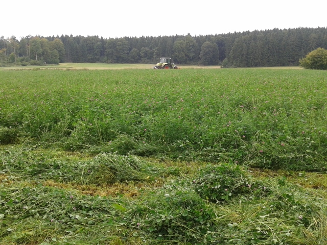 2014-09-03 13.38.22 (640x480).jpg