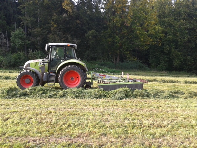 2014-09-04 16.58.29 (640x480).jpg