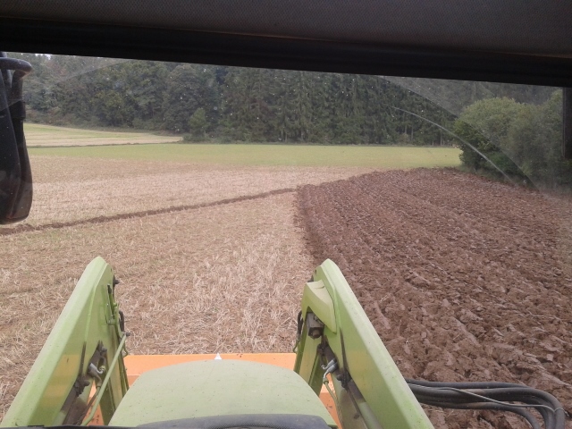 2014-09-08 09.59.01 (640x480).jpg