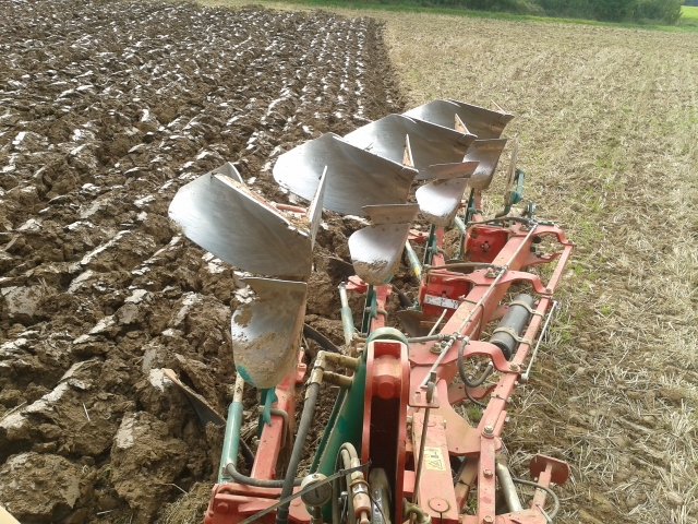 2014-09-08 09.59.52 (640x480).jpg