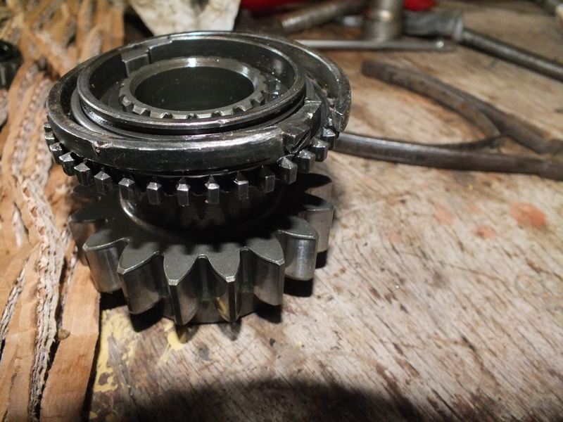 Schnellgang Bild 1.jpg