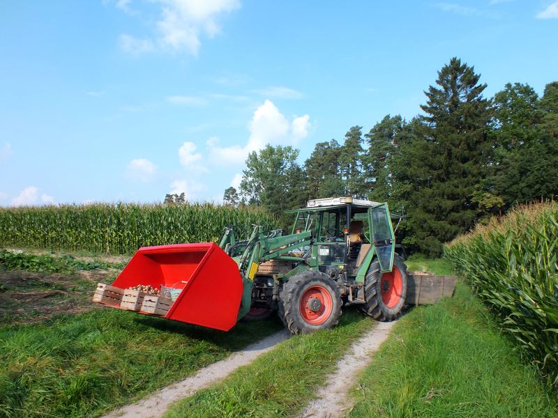 Kartoffelernte Tag2 201413.jpg