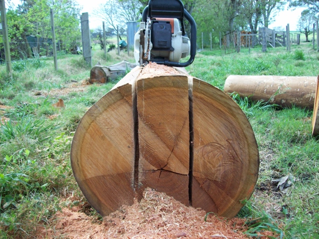 100_0999 (640x480).jpg