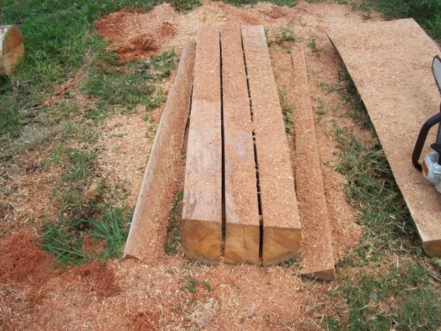 100_1002 (640x480).jpg