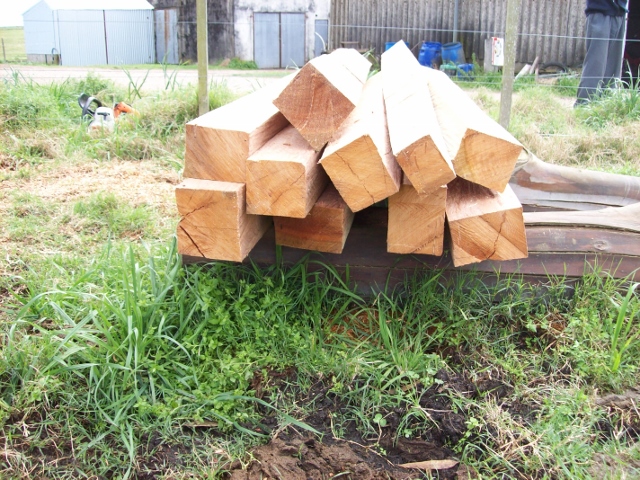 100_1004 (640x480).jpg