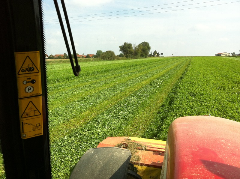 2014-09-09 14.21.15.jpg