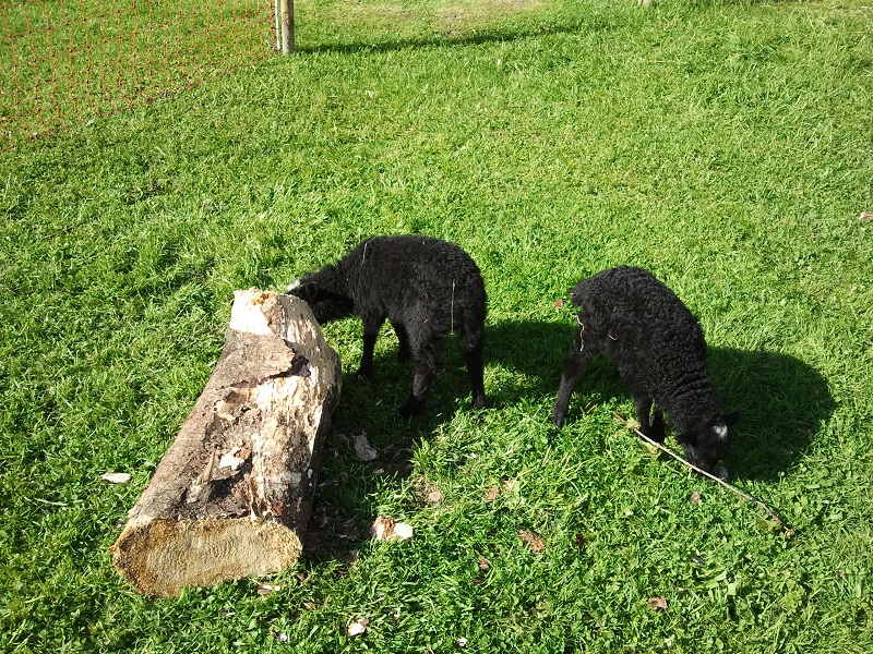 2014-04-25 09.48.20.jpg