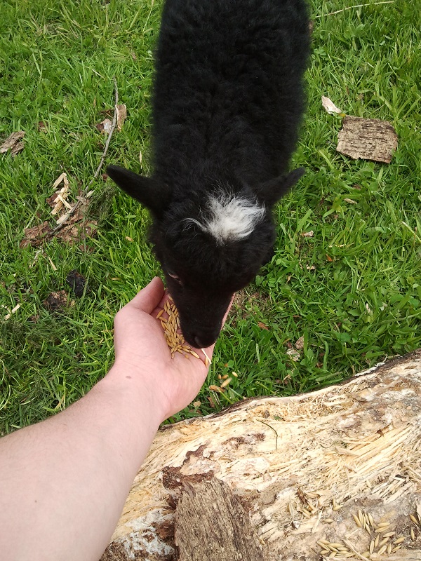 2014-04-26 10.16.39.jpg