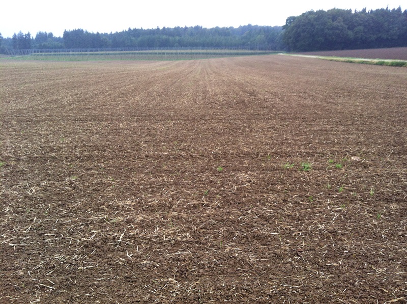 2014-09-14 15.43.53.jpg