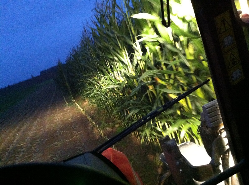 2014-09-14 19.48.4688.jpg