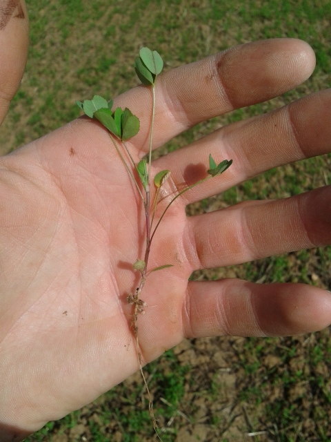 2014-09-18 14.22.36 (480x640).jpg