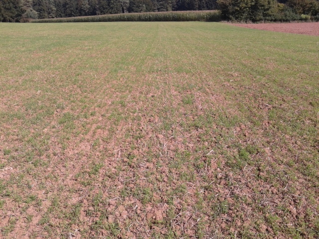 2014-09-18 14.23.25 (640x480).jpg