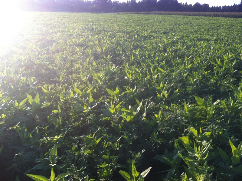 2014-09-15 18.34.35.jpg