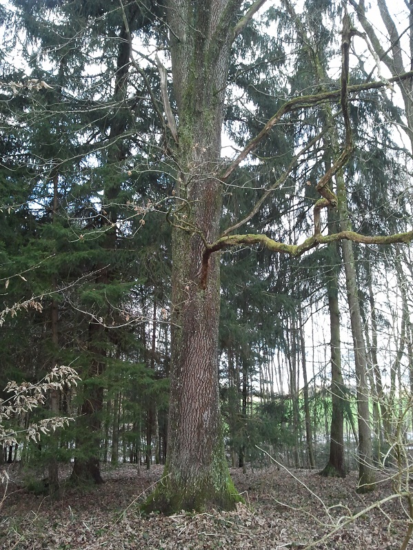 2013-01-30 16.19.38.jpg