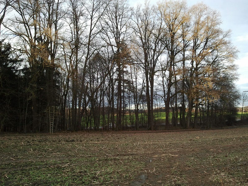 2013-01-30 16.16.09.jpg