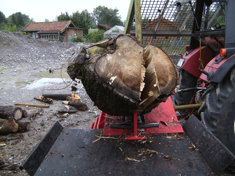 BILD0076.gif