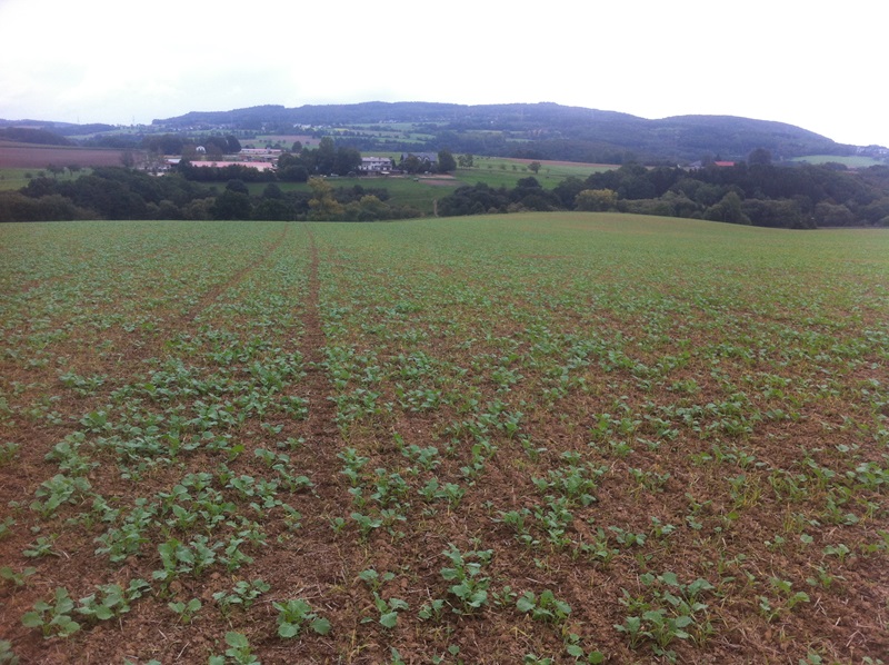 20.9 020 Marathon 2.JPG