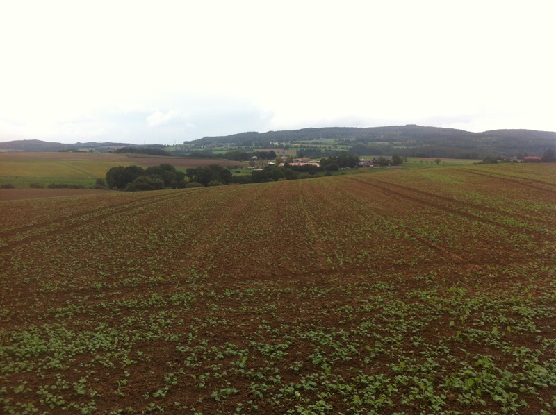 20.9 021 Pflugraps .JPG