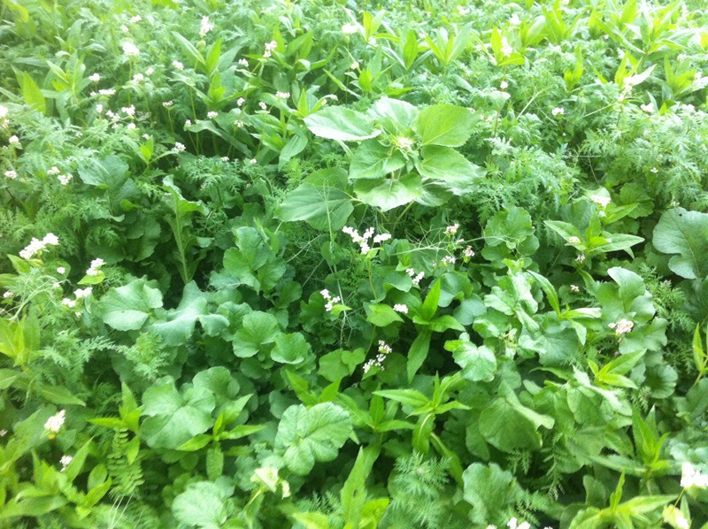 20.9 Eigenmischung .JPG