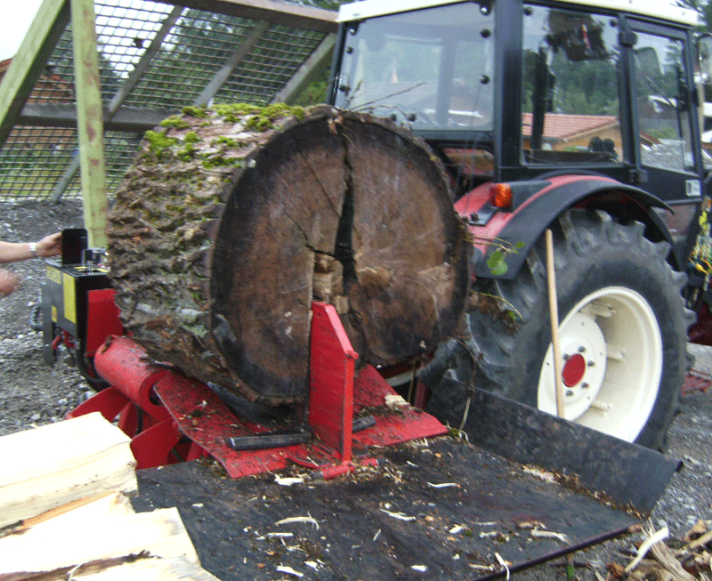 BILD0061.gif