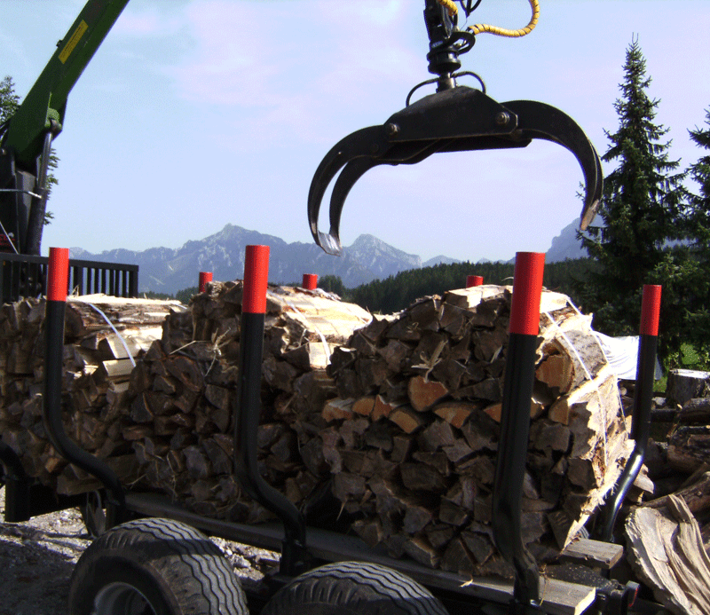 BILD0055.gif