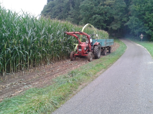 2014-09-27 09.39.06 (640x480).jpg