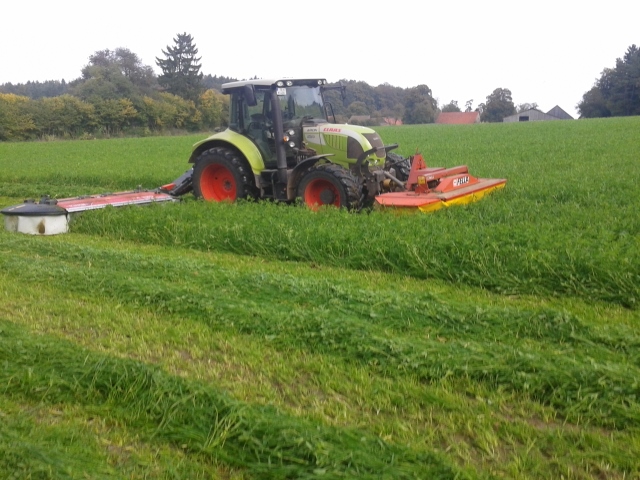 2014-10-06 12.05.38 (640x480).jpg