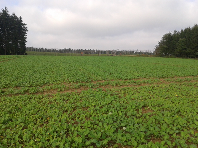 2014-10-02 15.44.49.jpg