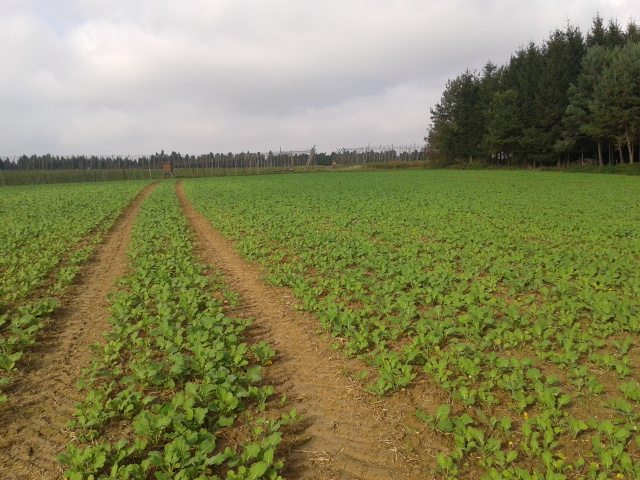 2014-10-02 15.45.27.jpg