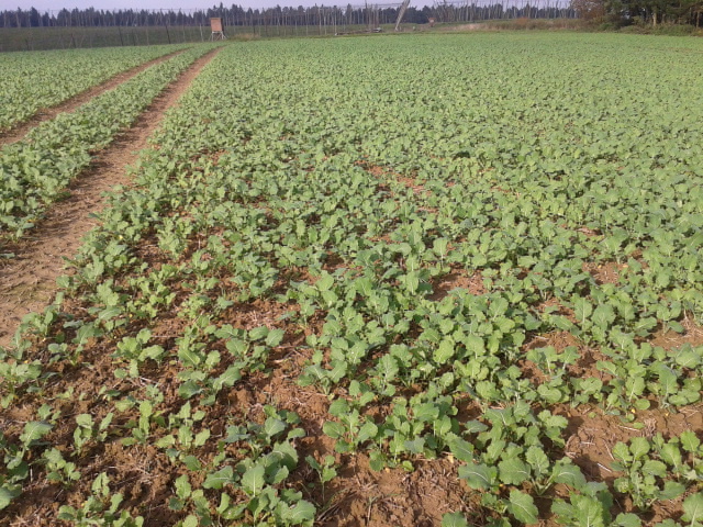 2014-10-02 15.46.13.jpg