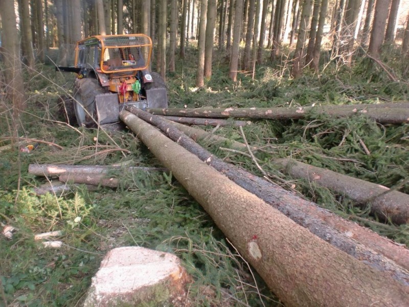 CIMG1514 (1024x768).jpg