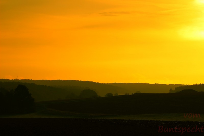 Bildla Nummära 001.jpg