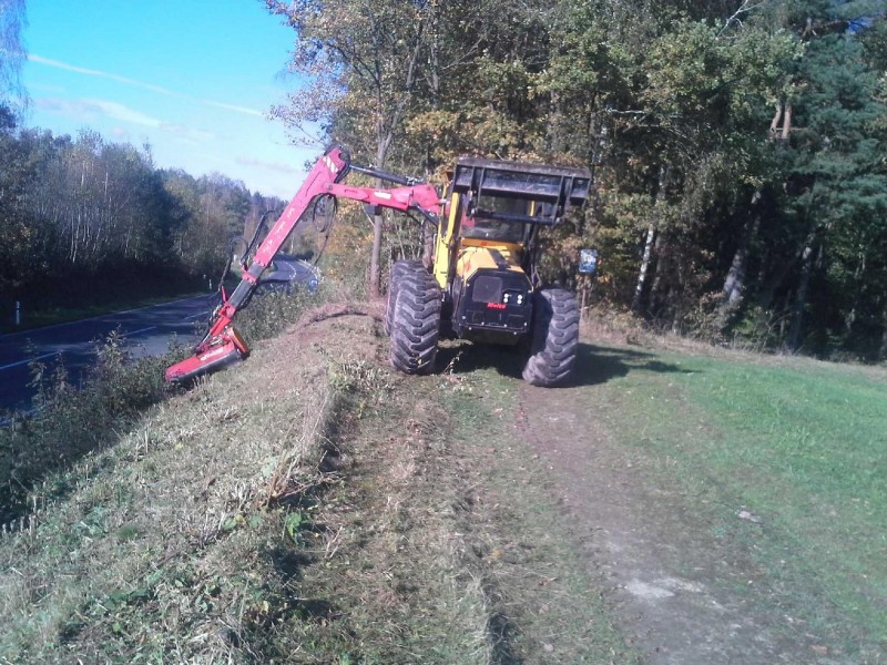 Welte W115 mit Mulcher.jpg