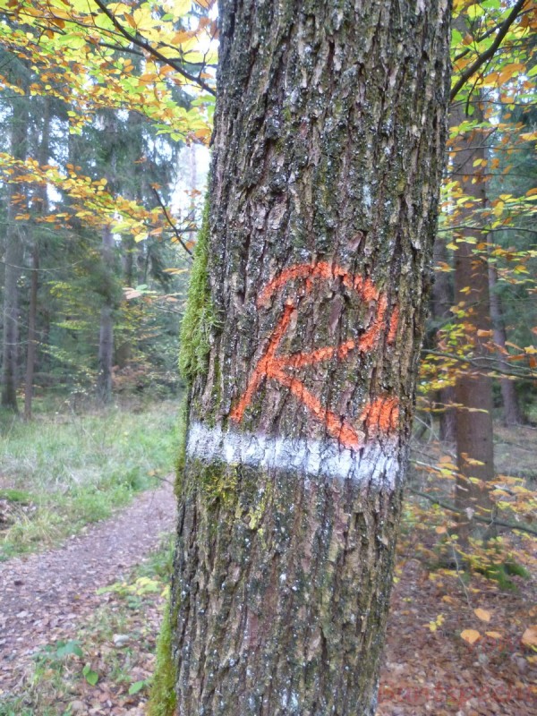 Bildla Nummära 002.jpg